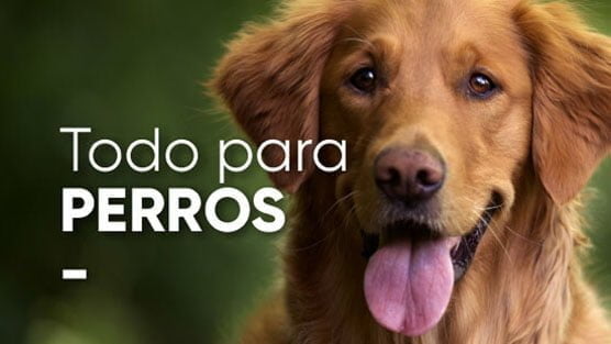 Tienda de mascotas para perros