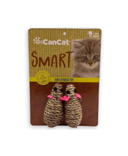 Duo Raton Hilo Can Cat