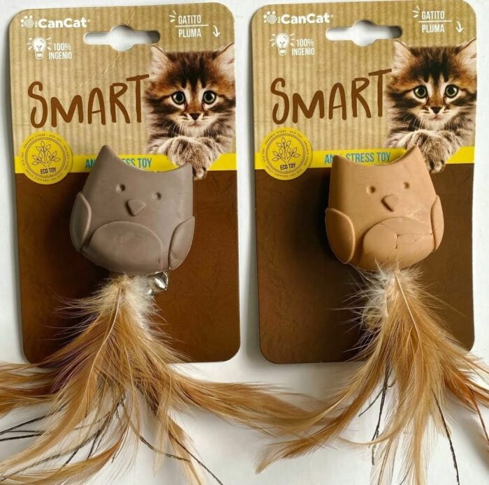 Gato con Pluma Can Cat