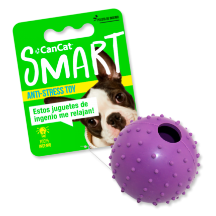 Rubber spiky ball with bell can cat