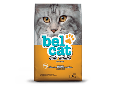 Alimento Belcat para gato adulto