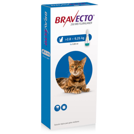 BRAVECTO GATO 2.8 A 6.25 KG