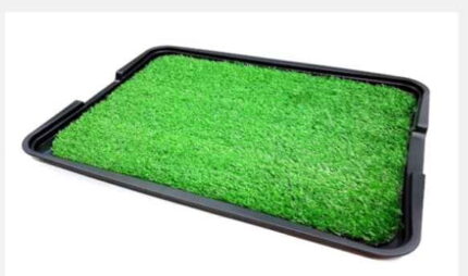 BANDEJA JORNAL GREEN